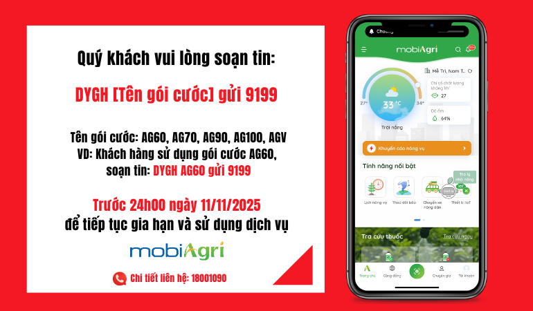 Dang ky gia han_1762760600.png